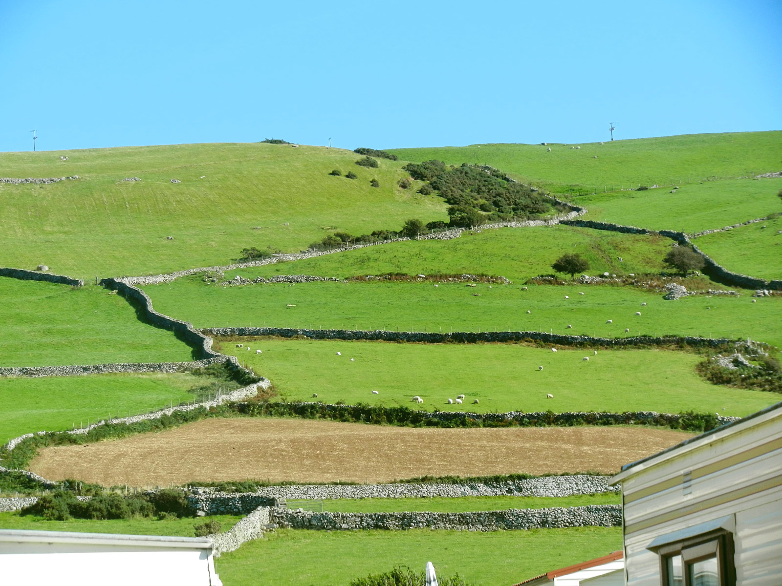 Llwyngwril